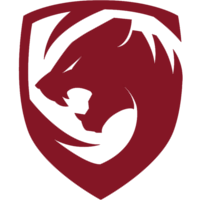 Équipe Tigers Logo