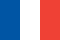 Team France Logo