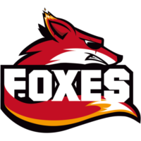 Equipe Foxes Logo