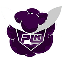 Purple Mood E-Sport logo