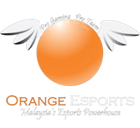 Team Orange Logo