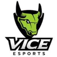 VE logo