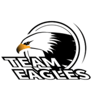 Team Team Eagles Logo