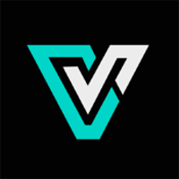 Equipe Vinary Esports Logo