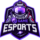 2GAME Esports