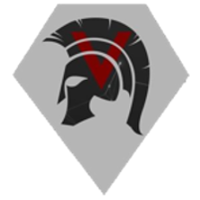 Team Veteran logo