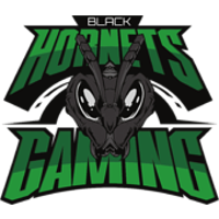 Équipe Black Hornets Gaming Logo