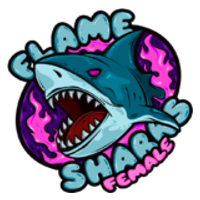 FS.FE logo