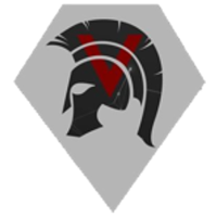 Team Team Veteran Logo