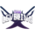 Team Leveling Logo