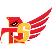 Team Burst The Sky Esports Logo