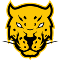 Team Jaguares Logo