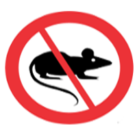 Team No Rats Logo