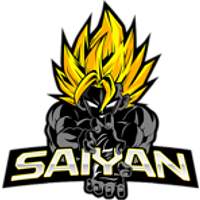 Equipe Team Saiyan Logo