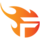 Team Flash VN Logo