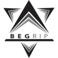 Équipe Begrip Gaming Logo