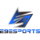 E9 esports Logo