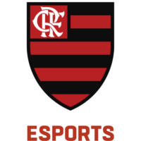 Équipe Flamengo Academy Logo