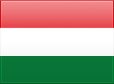 Team Hungary Logo