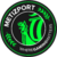 Metizport logo