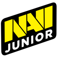 Équipe Natus Vincere Junior Logo