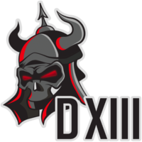 Team D13 Logo