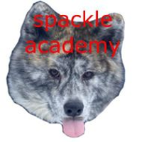 Equipe Spackle Academy Logo