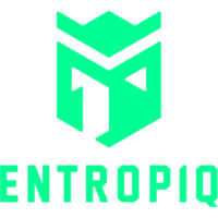 Team Entropiq Logo