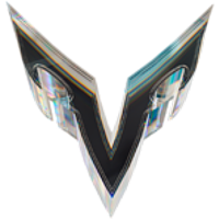 Vizer logo