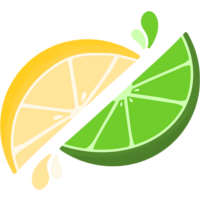 Citrus Nation logo