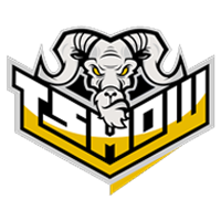 T Sow. logo