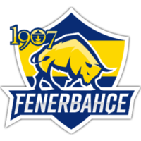 Équipe Fenerbahçe Esports Logo