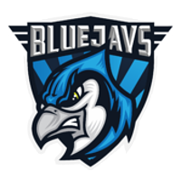 Team BLUEJAYS Logo