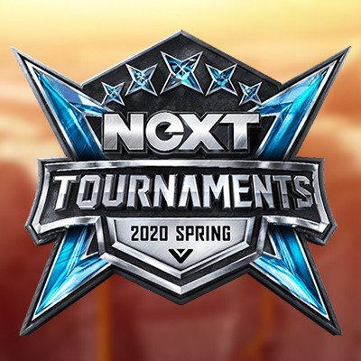 2020 NetEase Esports X Tournament Summer [NeXT] Tournament Logo